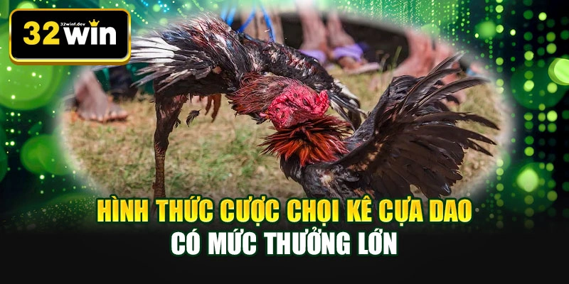 Hình thức cược chọi kê cựa dao có mức thưởng lớn